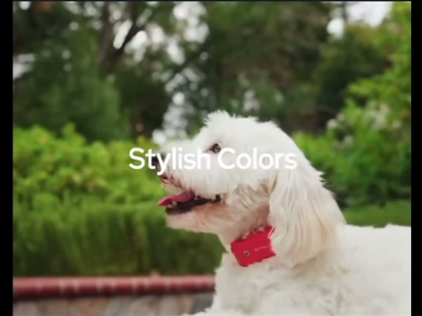 SATELLAI Smart Pet Collar